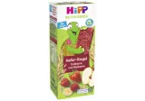Organic fruit bar set HIPP, from 12 months, 100 g