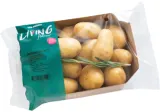 Small potatoes AGATA, 20-40 mm, 0.6 kg