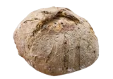 Light bread with seeds and crispy crust, 490 g