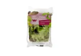 Salad mix VIVID WELL DONE, 100 g