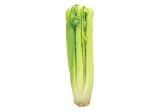 Celery stalk, 1 pcs.