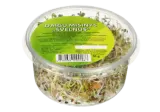 Sprout mix SOFT, 50 g