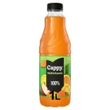 Mixed fruit nectar CAPPY JUICE, 1 l