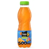 Juice drink CAPPY ICE FRUIT MULTIFRUIT, 500 ml