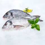 Unskinned chilled dorado