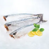 Atlantic mackerel, skinned, headless