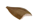 Thawed turbot flounders, gutted, 1 kg