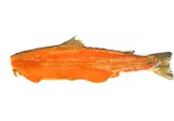 Hot smoked Atlantic salmon backbones, 1 kg