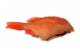 Hot smoked large sea perch (Sebastes marinus) without heads, 1 kg