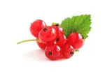 Red currants, 125 g
