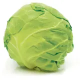 Fresh cabbage