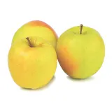 Apples GOLDEN
