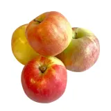 Apples Champion, 1st Class, 1 kg