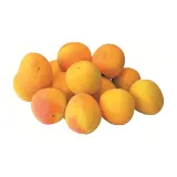 Packaged apricots, 1st grade, 36+ mm, 500 g