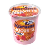 Yogurt KARUMS with raspberry and flakes, 350 g