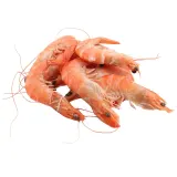 Frozen cooked pale shrimp (60/80), kg