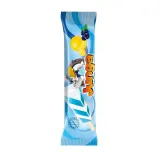 Blueberry and lemon flavored ice cream JUNGA, 75 ml / 75 g