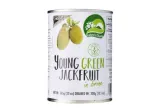 Young green breadfruit in brine NATURE'S CHARM, 565 g