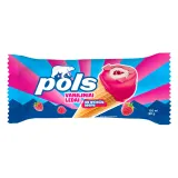 Creamy Ice Cream with Raspberry Filling