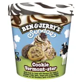 Ice cream with B&J SUNDAE sauce, 427ml/324g