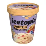 Ice Cream with Berry Filling ICETOPIA, 310 g