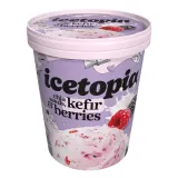 Kefir flavored ice cream with freeze-dried berries ICETOPIA, 310 g