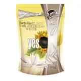 White roasted sunflower seeds with salt