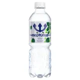 Газированная минеральная вода NEPTŪNAS MINT, 0,5 л