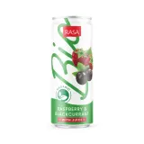 Eco drink RASA BIO, raspberry and blackcurrant flavor, 0,33 l