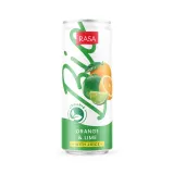 Eco drink RASA BIO, apple and lemon flavor, 0,33 l