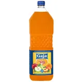 Non-carbonated fruit flavored soft drink GAJA, 2 l