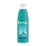 Juice with spirulina LIMENITA BLUE, 750 ml
