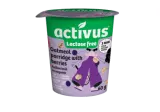 Oatmeal ACTIVUS (with berries), 60 g