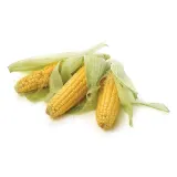 Fresh Corn Cobs, 1 pcs.