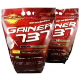 Megabol Gainer 737 Raspberry 3000 g