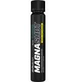 BioTech Magna Shot 25 ml