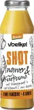 Ginger and turmeric juice cocktail, biodynamic VOELKEL, 280 ml