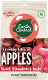 Apple chips, strawberry flavor EARTH CONTROL, 55 g