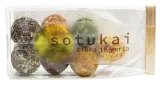 Plant-based dessert SOTUKAI