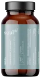 Superfood mix for gut health BIOTA, organic SOULEL, 100 g