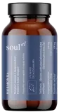 Plant-based mix HARMONIJA, organic SOULEL, 100 g