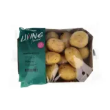 Small potatoes AGATA AUGMA