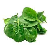 Baby spinach