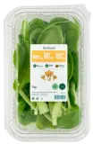 Salad BABY PAK CHOI LEAFOOD