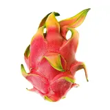 Red radish