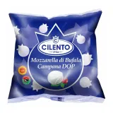 Buffalo milk cheese MOZZARELLA DI BUFALA CAMPANA DOP CILENTO