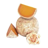 Cheese MIMOLETTE, aged 6–18 months