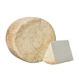 Smoked sheep milk ricotta