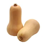 Butter pumpkin