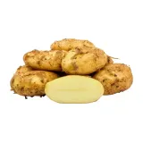 Fresh potatoes (35-55+ mm), II grade